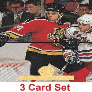 Rob Niedermayer Hockey Card Collection